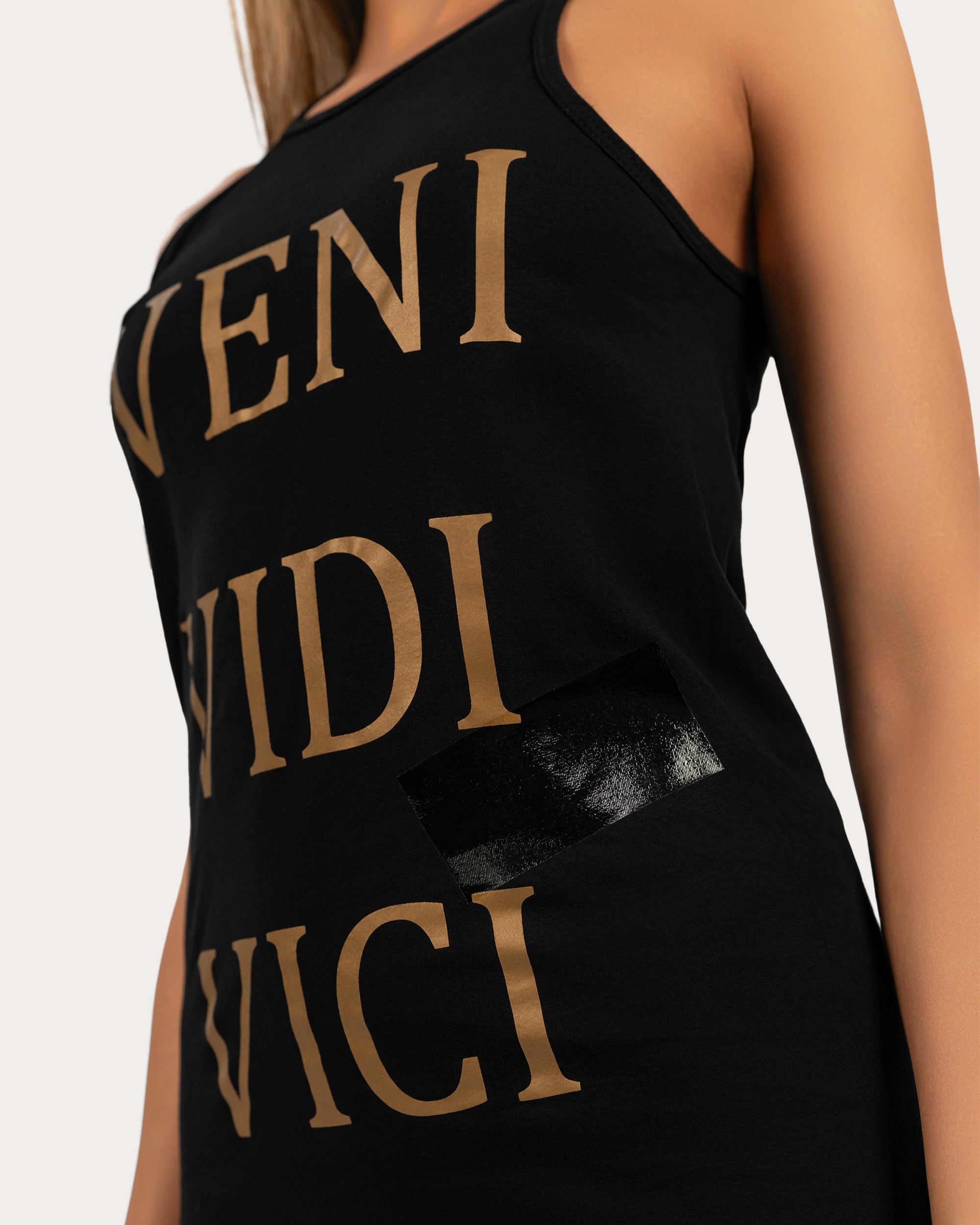 Veni vidi vici dress - T25096