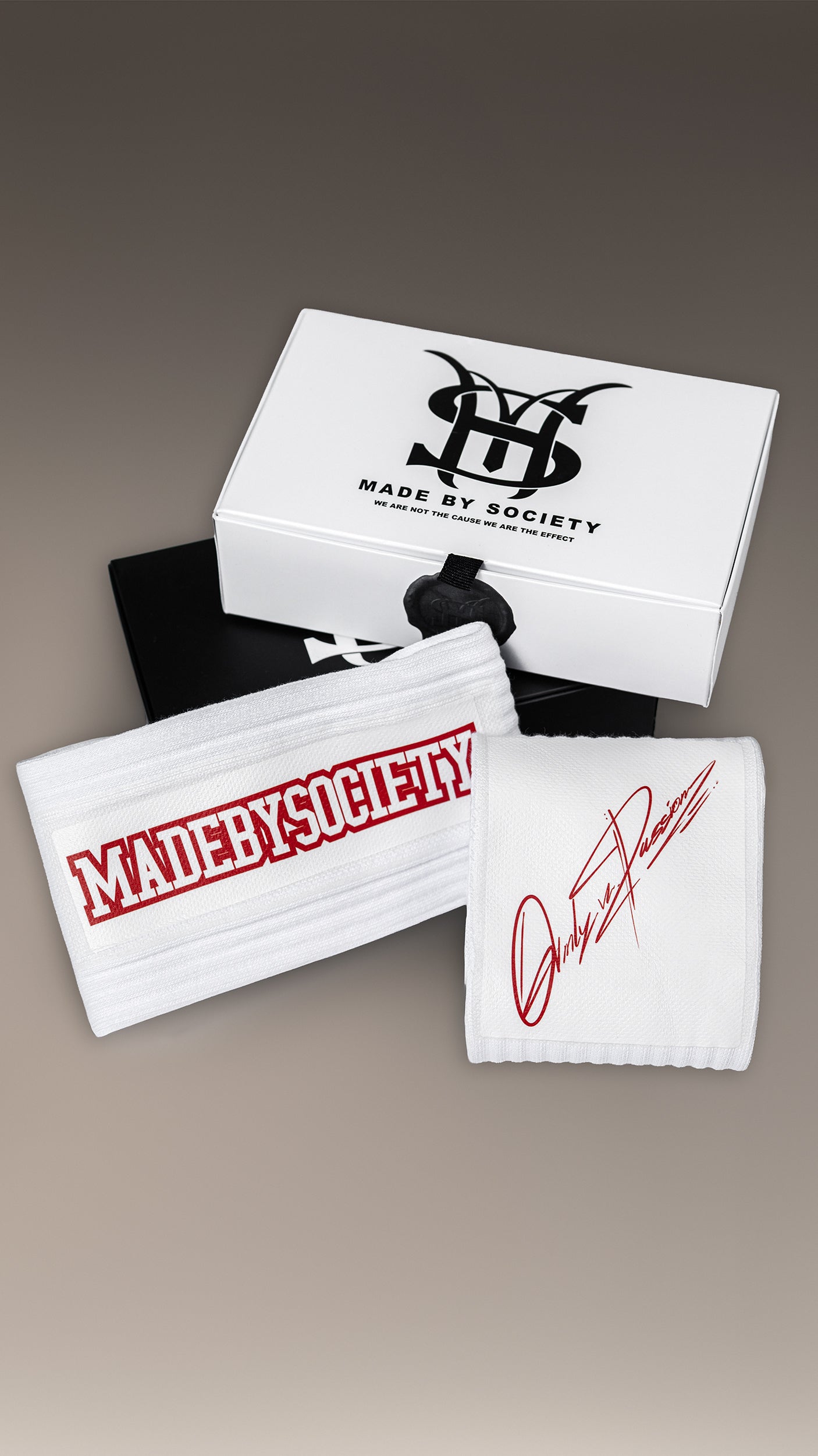 BRANDED SOCKS - A12092